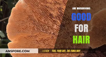 Mushrooms for Hair Growth: Unlocking Nature's Secret to Healthy Locks