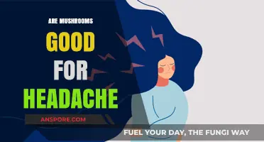 Mushrooms for Headache Relief: Natural Remedy or Myth?
