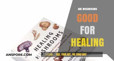 Mushrooms' Healing Powers: Unlocking Nature's Medicinal Benefits for Wellness