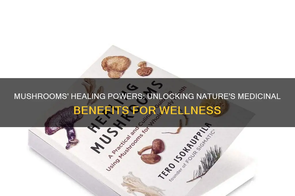are mushrooms good for healing