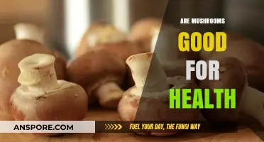 Mushrooms: Unlocking Health Benefits and Nutritional Power for Wellness