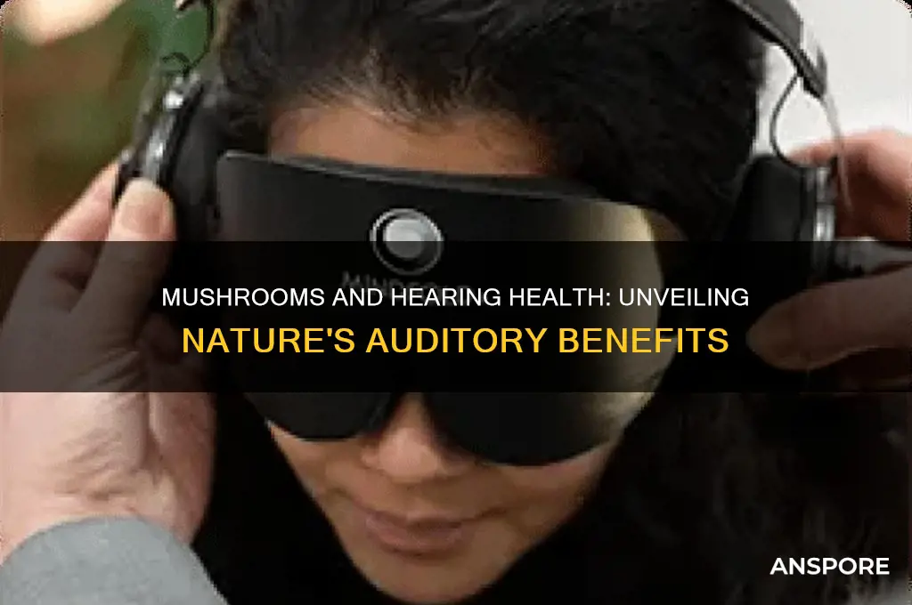 are mushrooms good for hearing