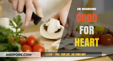 Mushrooms and Heart Health: Unlocking Cardiovascular Benefits Naturally