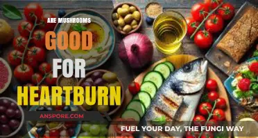 Mushrooms and Heartburn: A Natural Remedy or Trigger?