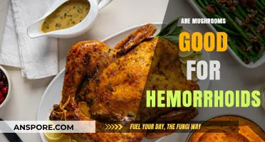 Mushrooms and Hemorrhoids: Uncovering Their Potential Benefits and Relief