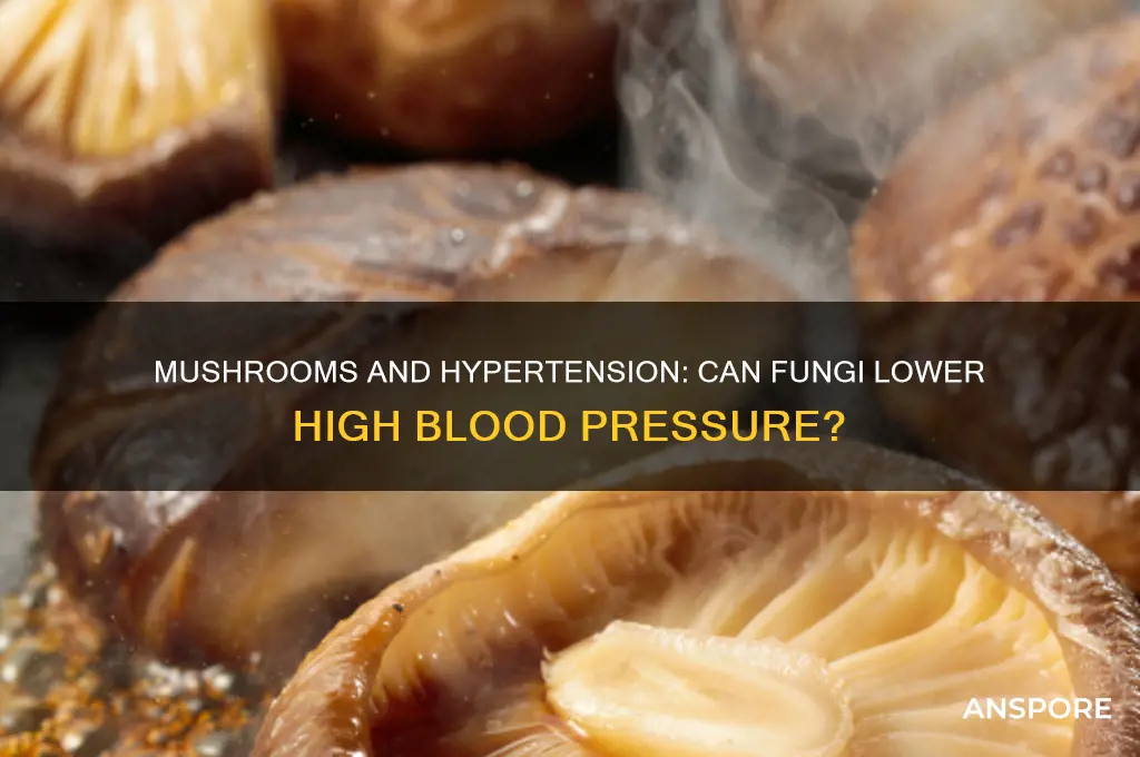 are mushrooms good for high blood pressure