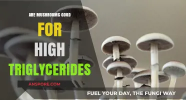 Mushrooms and Triglycerides: Can Fungi Lower Your Cholesterol Levels?