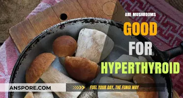 Mushrooms and Hyperthyroidism: Exploring Their Potential Benefits and Risks
