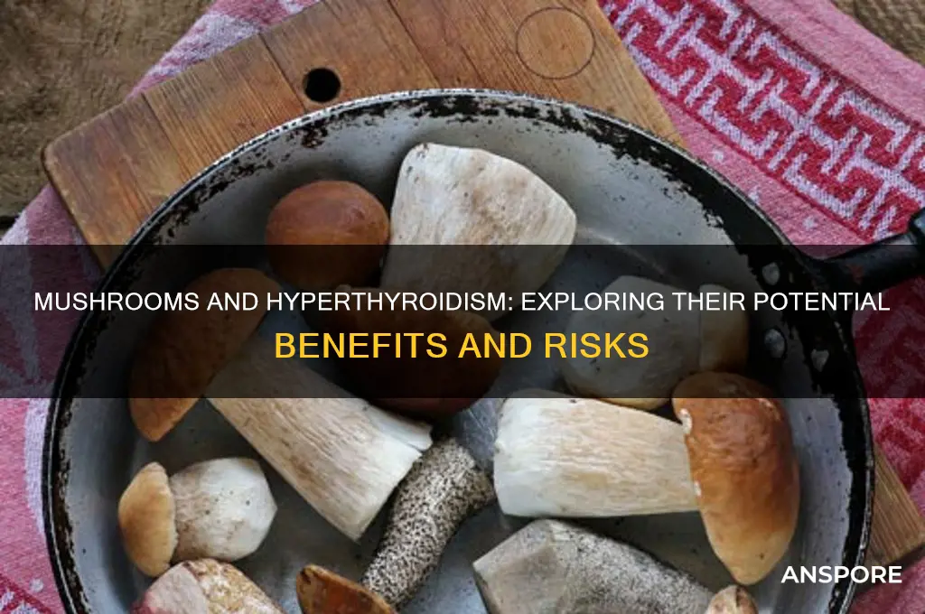 are mushrooms good for hyperthyroidism