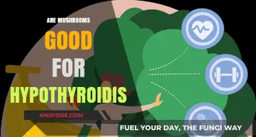 Mushrooms and Hypothyroidism: Unlocking Thyroid Health Benefits Naturally