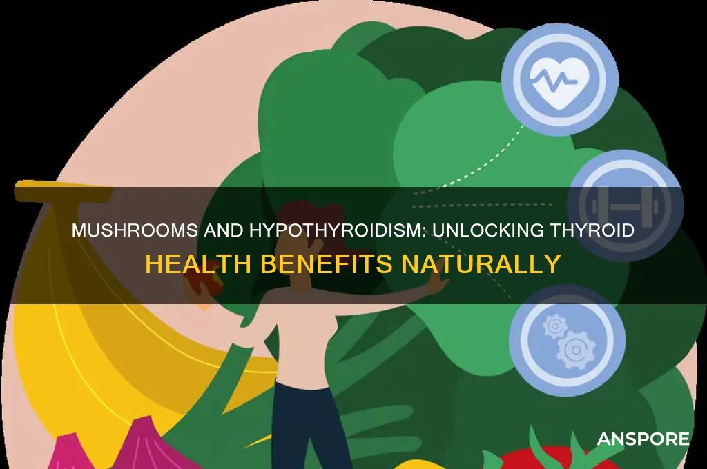 are mushrooms good for hypothyroidism