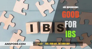 Mushrooms and IBS: Unveiling Their Gut-Friendly Benefits and Potential Risks