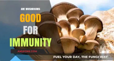 Boost Your Immune System: The Surprising Benefits of Mushrooms