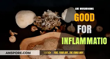 Mushrooms and Inflammation: Unlocking Nature's Anti-Inflammatory Superfood Benefits