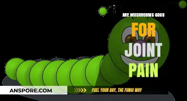 Mushrooms for Joint Pain: Natural Relief or Myth?