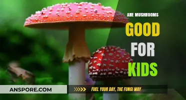 Mushrooms for Kids: Nutritional Benefits and Safe Serving Tips