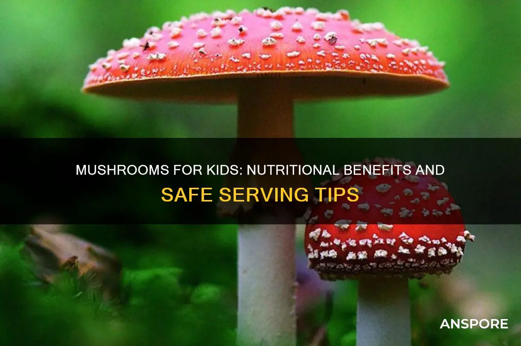 are mushrooms good for kids