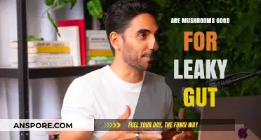 Mushrooms and Leaky Gut: Healing Benefits or Harmful Hype?