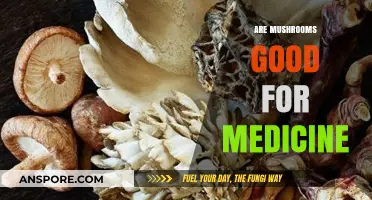 Mushrooms' Medicinal Magic: Unlocking Nature's Healing Potential and Benefits