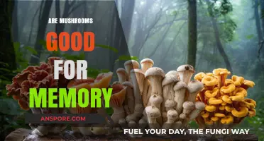 Boost Your Memory Naturally: The Surprising Benefits of Mushrooms