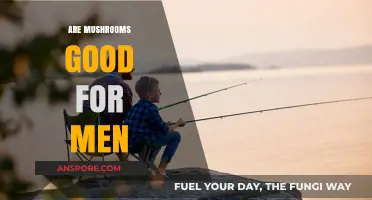 Mushrooms and Men's Health: Unlocking Nutritional Benefits and Wellness Secrets