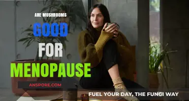 Mushrooms and Menopause: Unlocking Natural Relief for Symptom Management