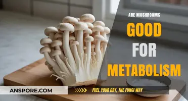 Boost Your Metabolism Naturally: The Surprising Benefits of Mushrooms