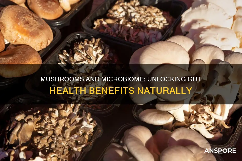 are mushrooms good for microbiome