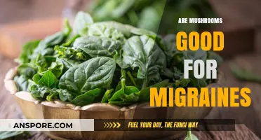 Mushrooms and Migraines: Exploring Natural Relief for Headache Sufferers