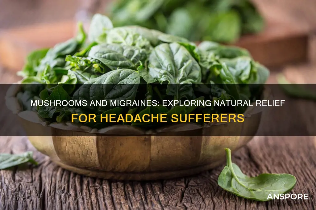 are mushrooms good for migraines