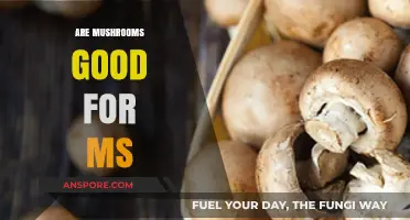 Mushrooms and MS: Exploring Potential Benefits for Multiple Sclerosis