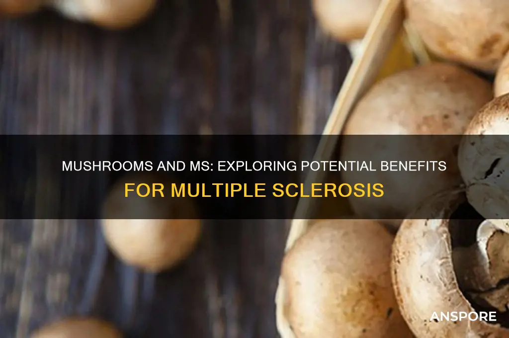 are mushrooms good for ms