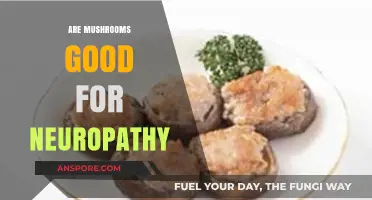 Mushrooms and Neuropathy: Exploring Their Potential Benefits for Nerve Health
