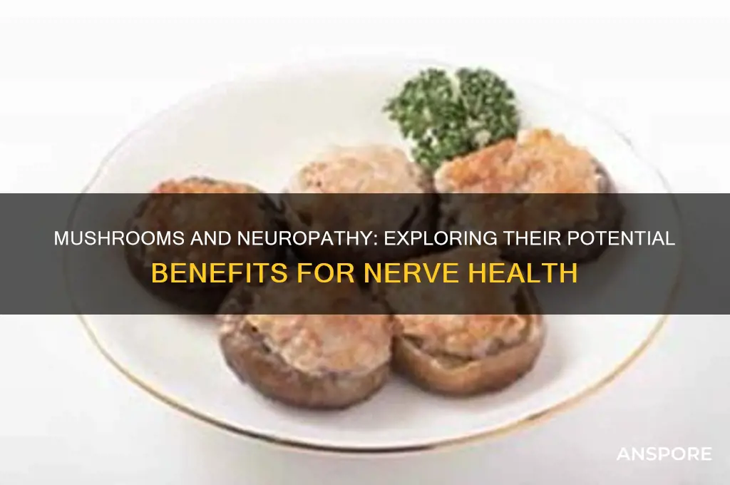 are mushrooms good for neuropathy