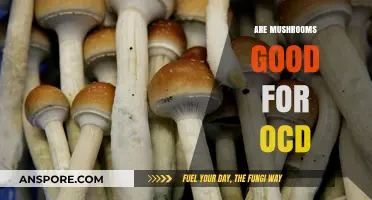 Mushrooms and OCD: Exploring Potential Benefits for Mental Health