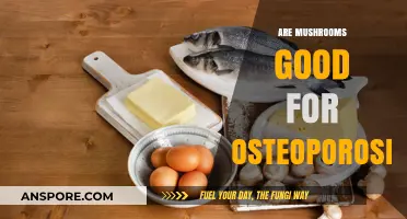 Mushrooms and Bone Health: Can They Help Fight Osteoporosis?