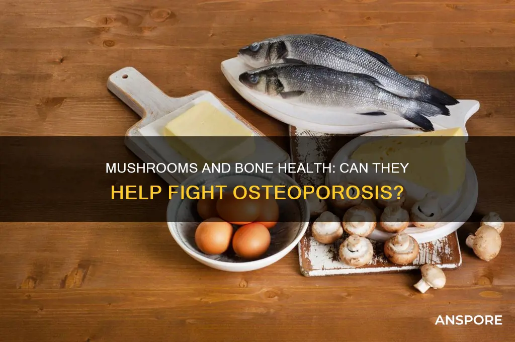 are mushrooms good for osteoporosis