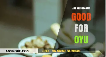 Mushrooms: Unlocking Health Benefits and Nutritional Power for You