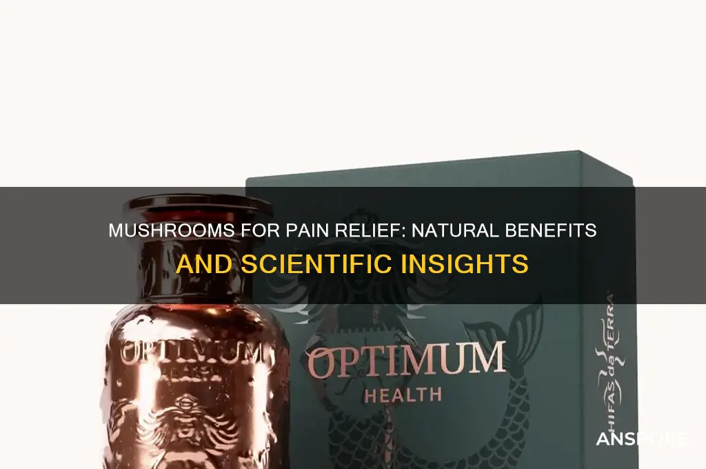are mushrooms good for pain
