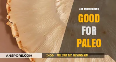 Mushrooms and Paleo: Are They a Healthy Ancestral Diet Fit?