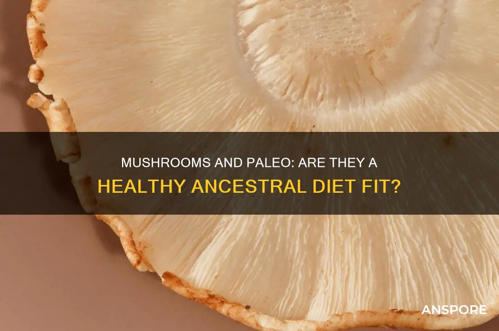 are mushrooms good for paleo