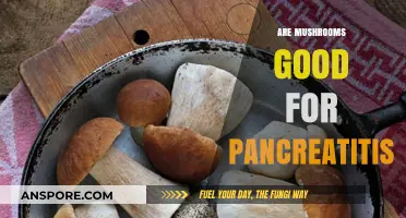 Mushrooms and Pancreatitis: Exploring Their Potential Benefits and Risks