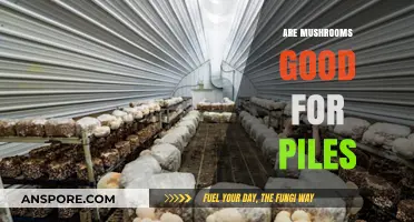 Mushrooms and Piles: Exploring Their Potential Benefits for Hemorrhoid Relief