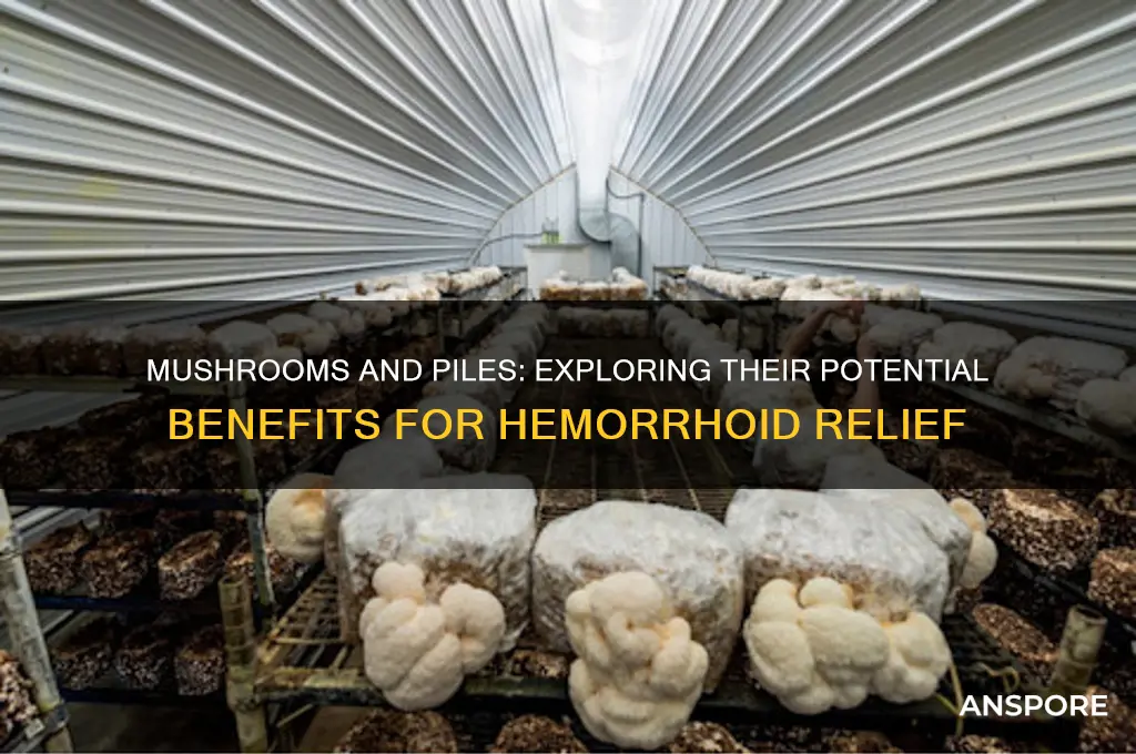 are mushrooms good for piles