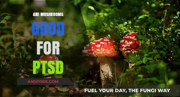 Mushrooms and PTSD: Exploring the Potential Healing Benefits