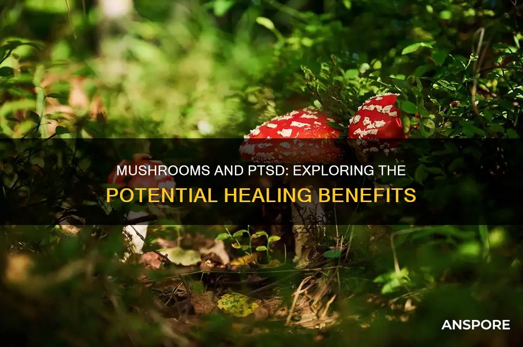 are mushrooms good for ptsd