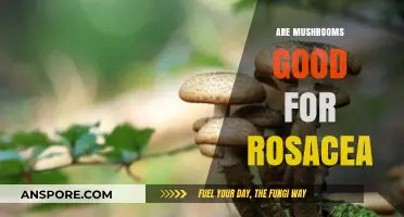 Mushrooms and Rosacea: Unveiling Their Potential Skin-Soothing Benefits