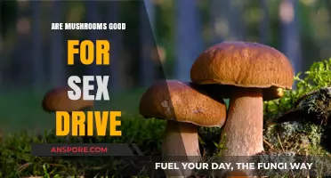 Boost Your Libido: Exploring Mushrooms' Impact on Sexual Health