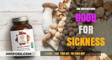 Mushrooms' Healing Power: Can They Boost Your Immune System?