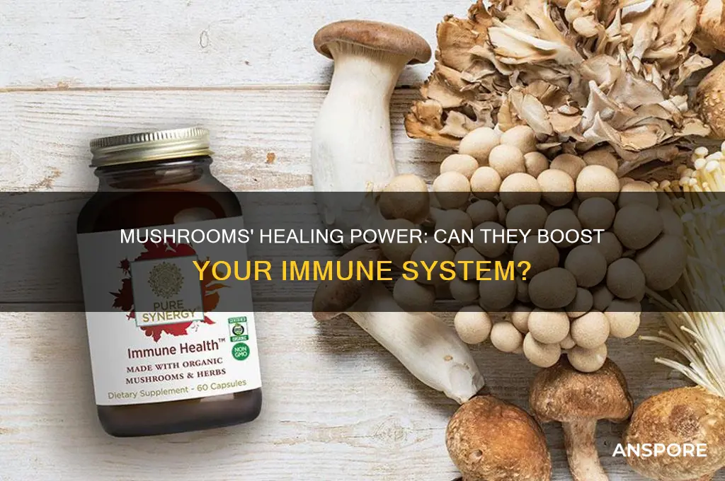 are mushrooms good for sickness